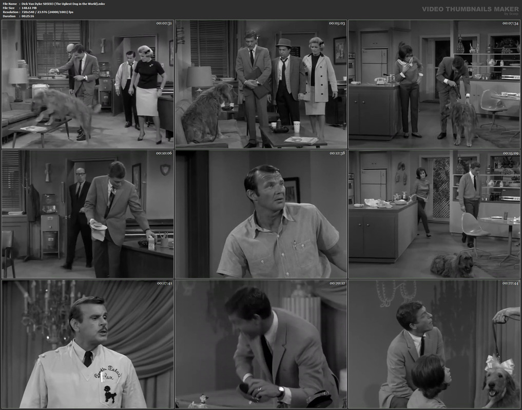 Dick Van Dyke S05E03 (The Ugliest Dog in the World).mkv