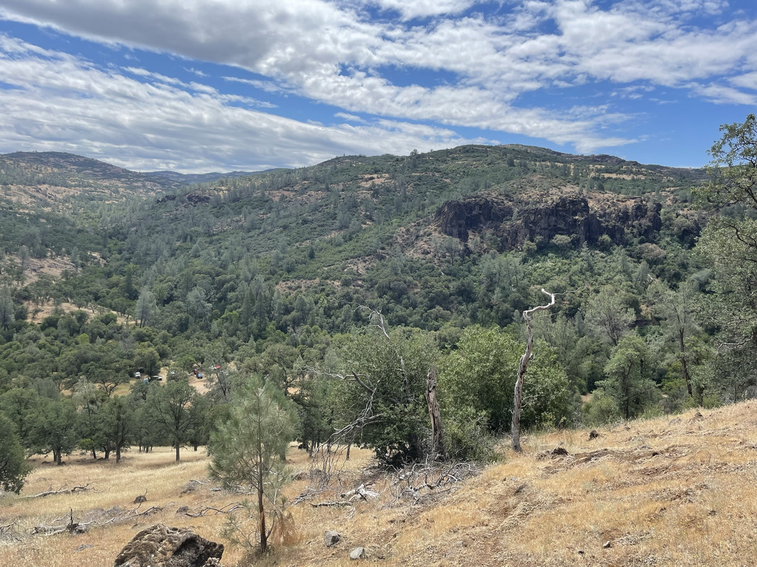 33A6913E-4078-434F-91B1-0181EE2A992D