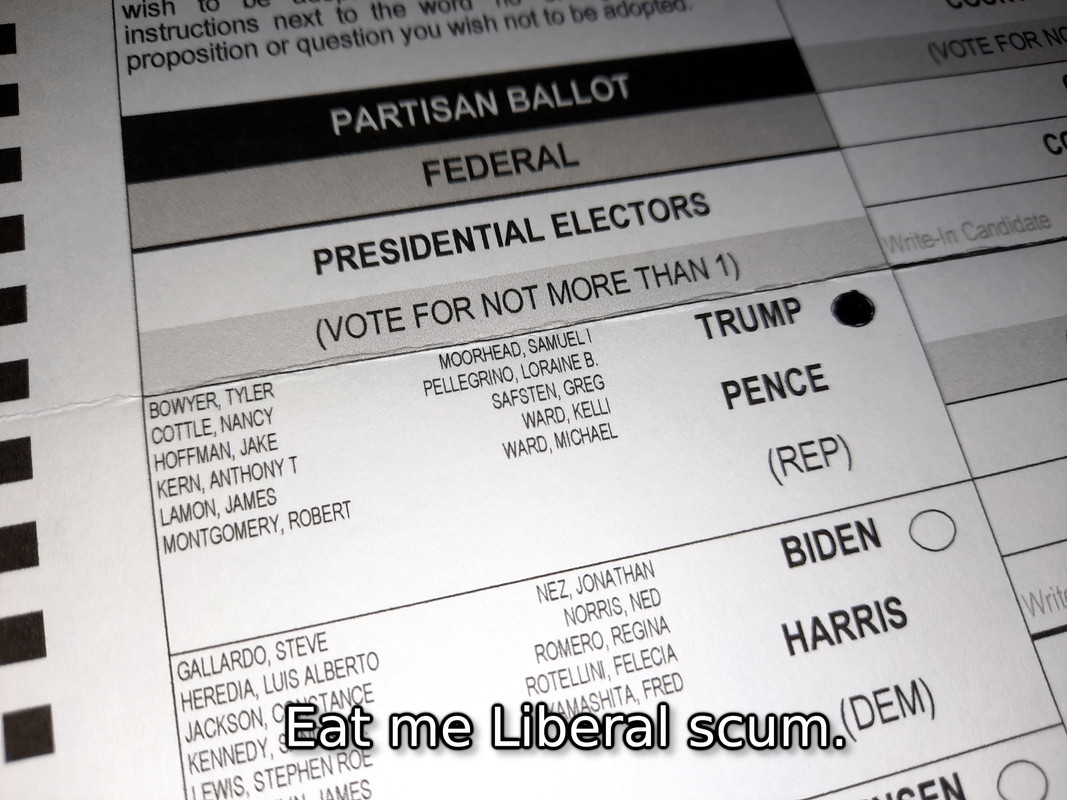 I-Voted-2020.jpg