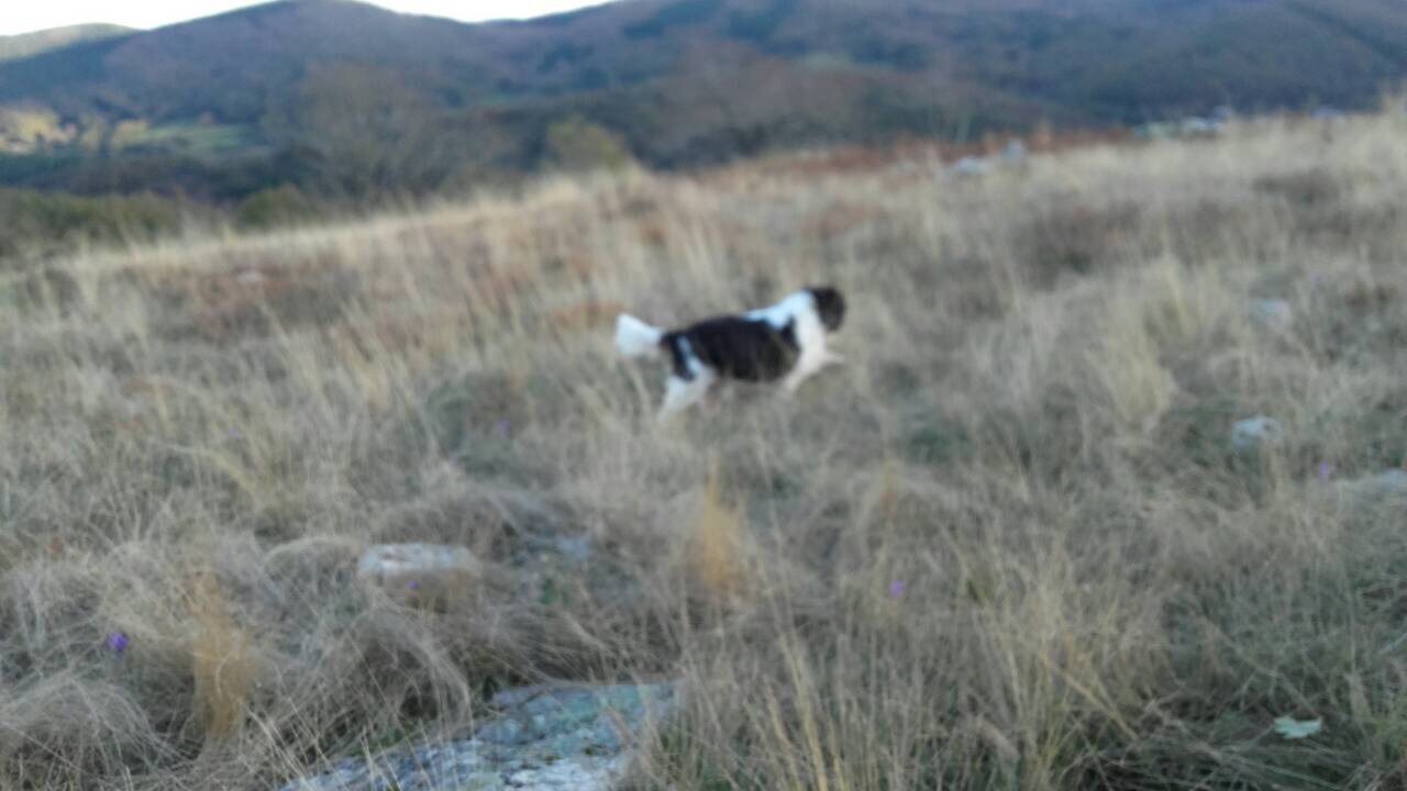 C0B72B4E-2E14-47ED-BFCD-98C17EAB9CD7