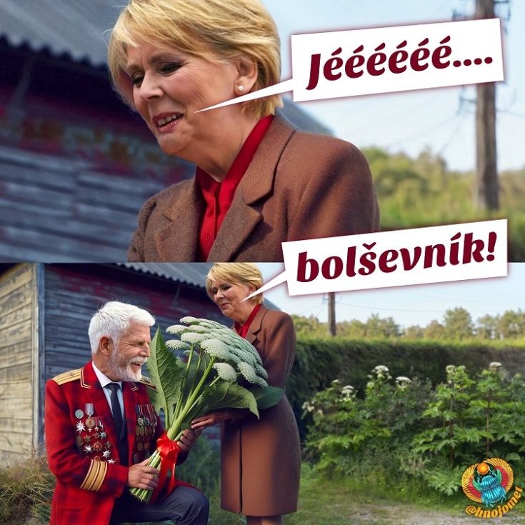 bol