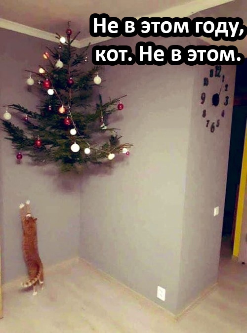 m-EUp-Skt5-Ow-Q.jpg