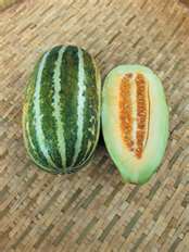 thai melon
