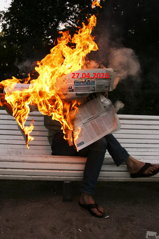 https://i.postimg.cc/hGgLRDp1/1133-Photoroom.png