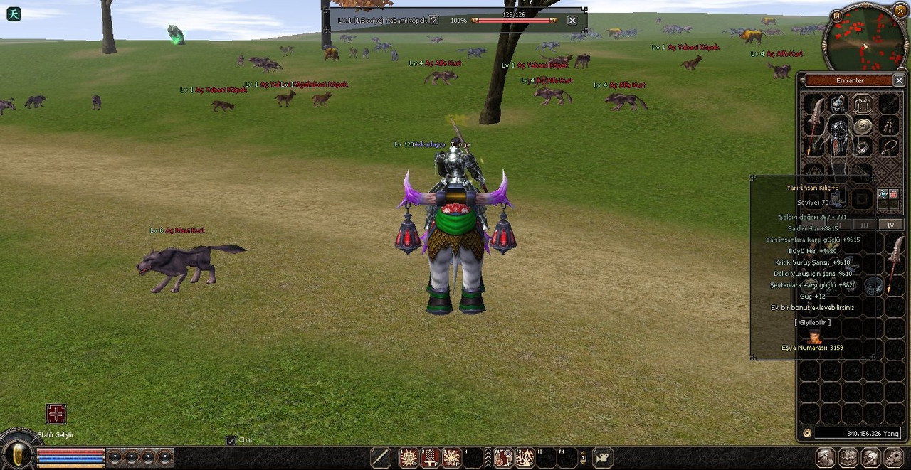 17.jpg