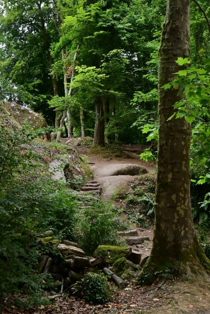 Día 7: Amanecer en Trégastel y anochecer en Huelgoat - 10 días de verano en la Bretaña francesa (8)