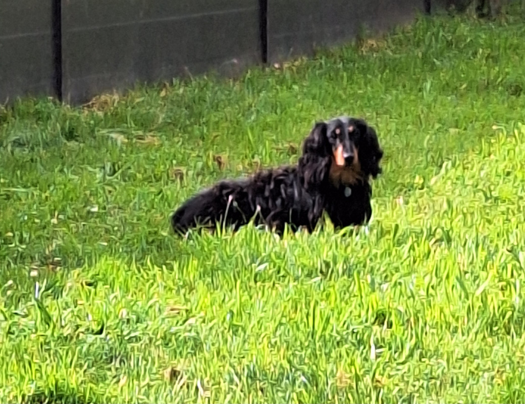 [Image: 20240629-181549.jpg]