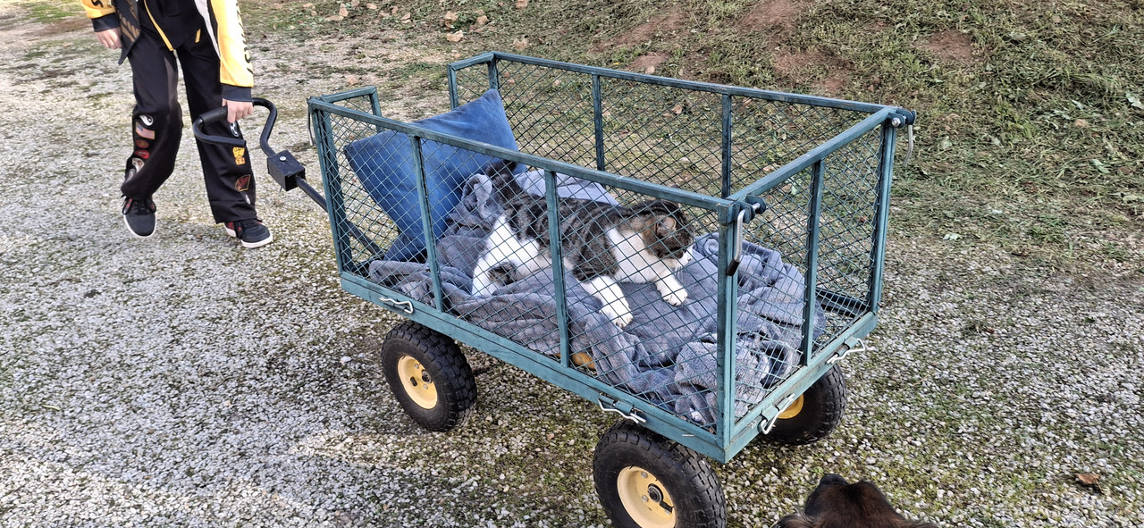 [Image: 20251018-170158.jpg]