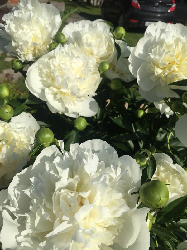 DD7E4AD9-FCA9-48AB-AF70-6A15A1B800B6