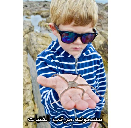 ���� ���� ������ �� ���� ������