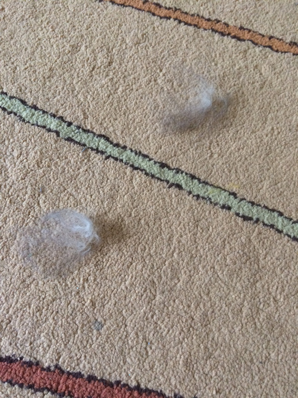 846F2018-5868-4C1A-B431-7B6C69FF45AA