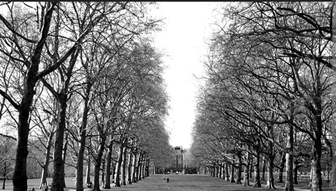 Screenshot_20221124-162158_Chrome