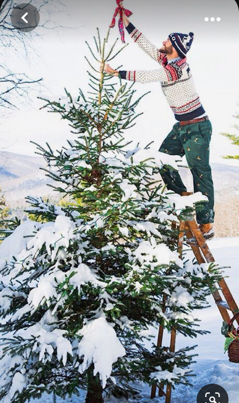 Screenshot_20231023_223217_Pinterest