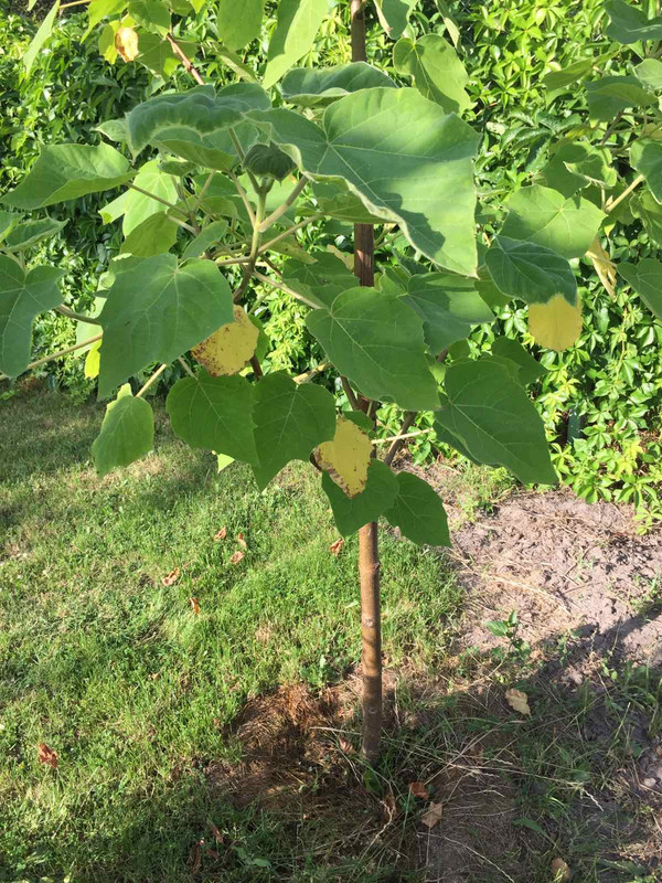 изображение_viber_2023-06-25_14-37-08-583 1