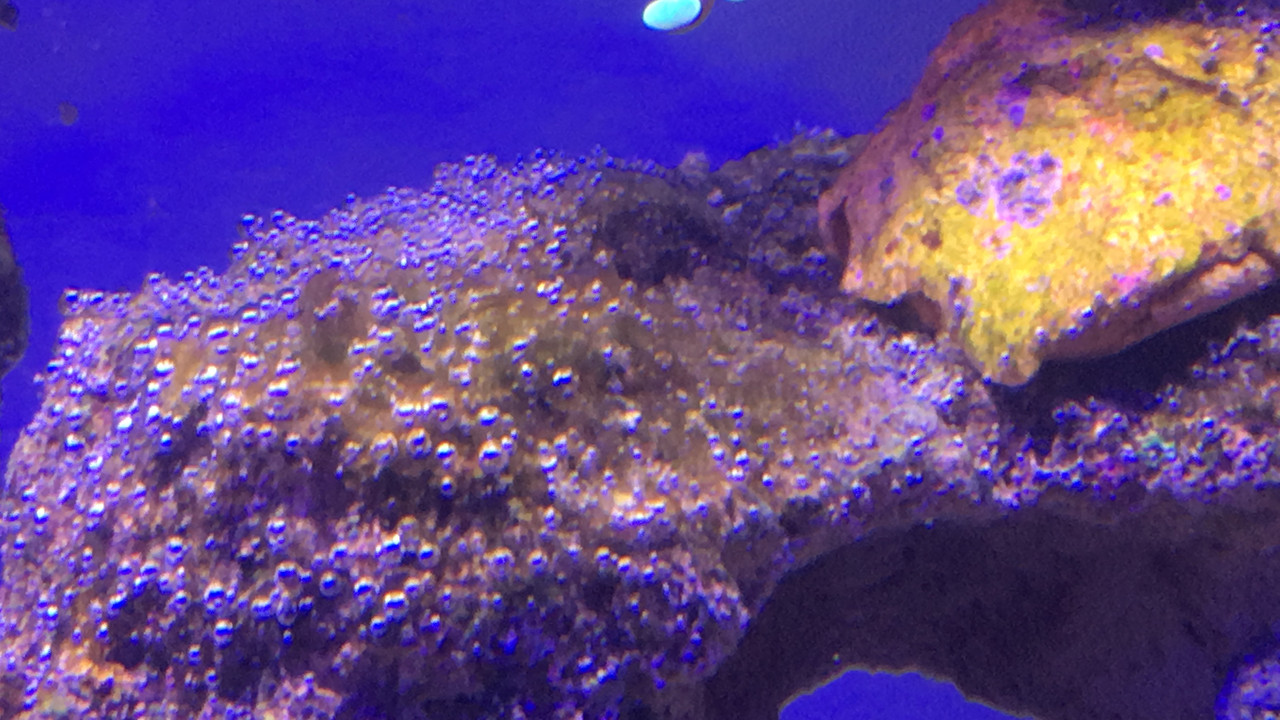 D8631018-2606-42B2-B03F-10EBC13BF15D