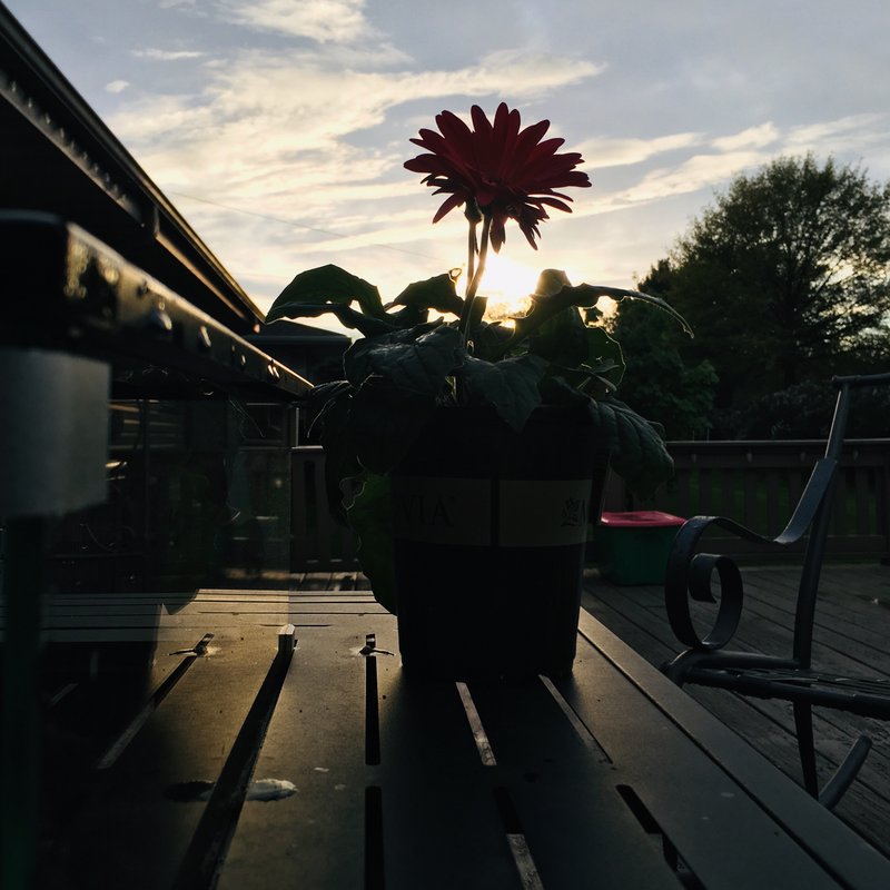 3ABD746E-59F5-4F3E-A483-462456ECB273