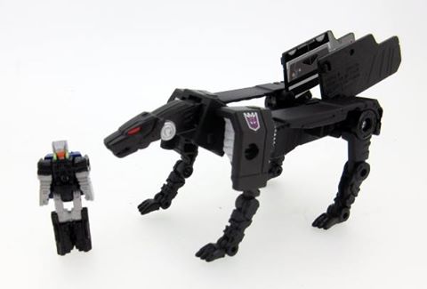 13873155_305411556475945_9157207429711696868_n