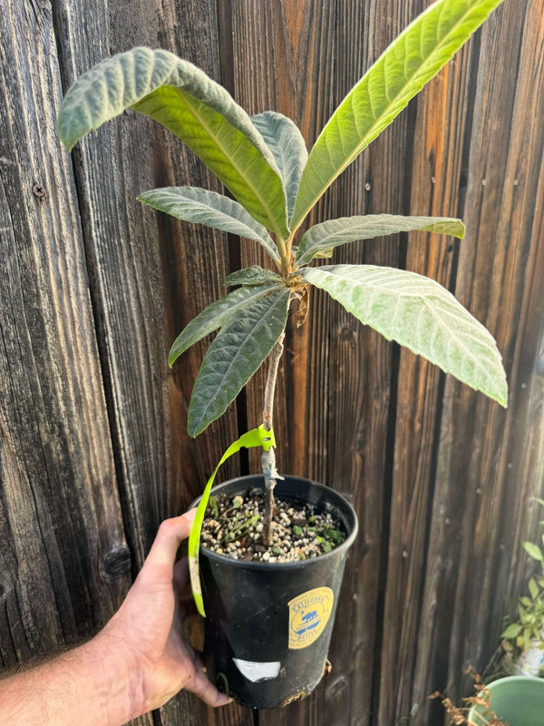 462553863_861082252494094_7936395838506789667_n