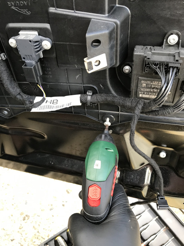 F8C3F52D-84BB-4CAD-9837-CD766CC1EE74