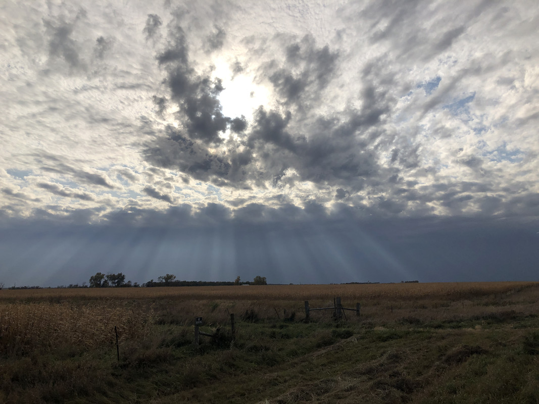 A3D01D1C-9A3C-49E4-AC30-4314FAC97511