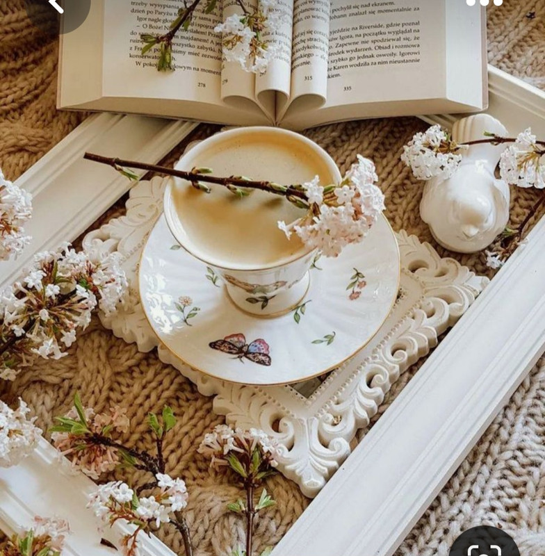 Screenshot_20230516_235611_Pinterest