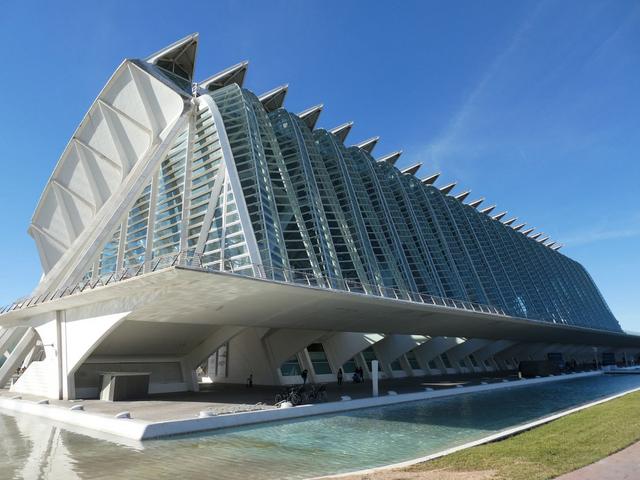 VALENCIA en un fin de semana - Blogs of Spain - Sábado 30/12: Llegada a Valencia y visita al Oceanogràfic (2)