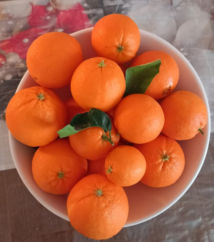 IMG 20260113 171245