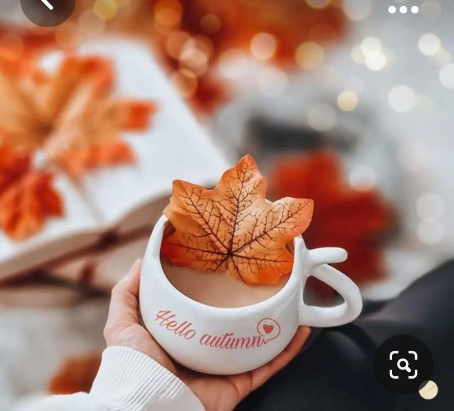 Screenshot_20231008_214211_Pinterest