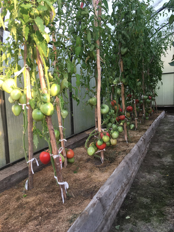 3DFF915D-66D1-417A-A39D-2B8CF96DCB70