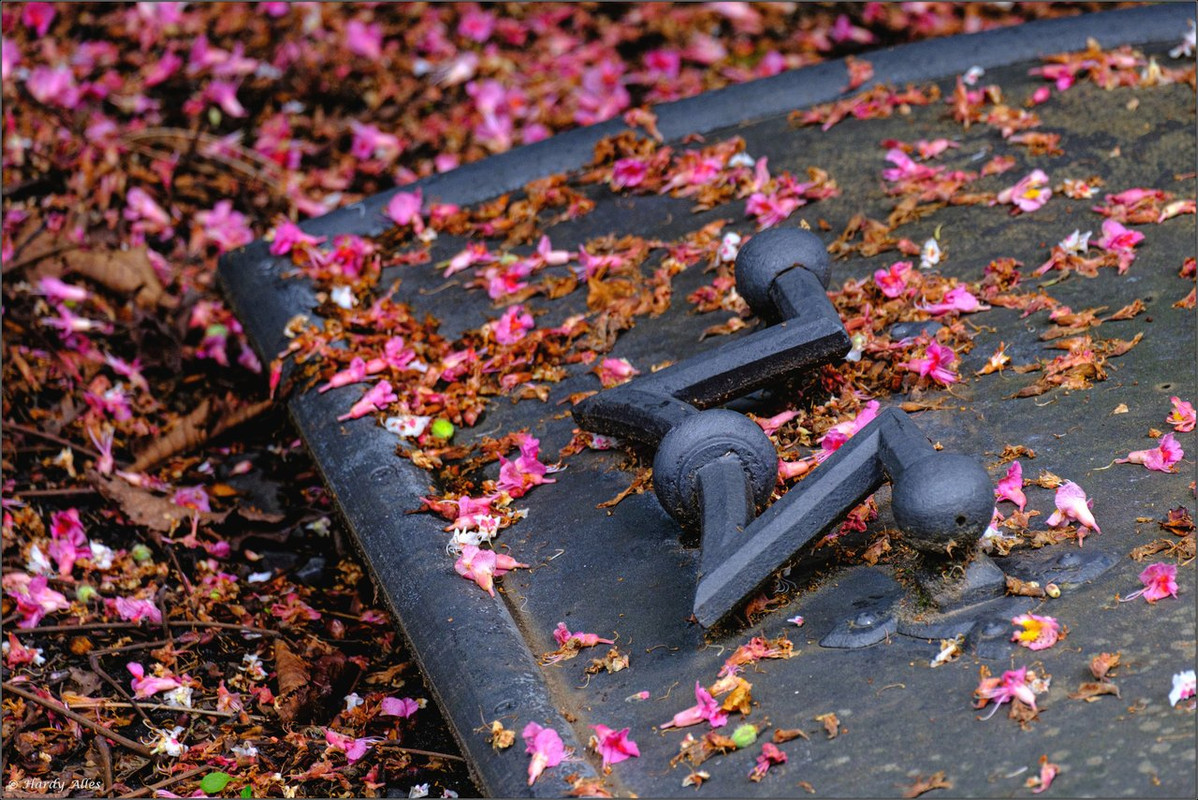 XT4G7870 2023 Köln LR ERWZ FB