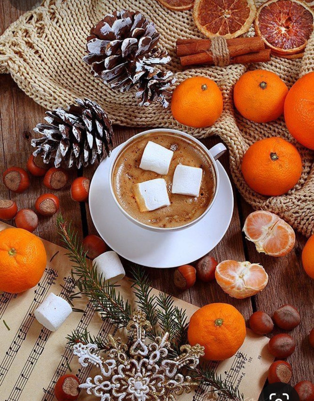 Screenshot_20240104_225517_Pinterest