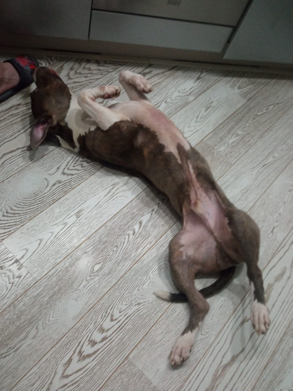 482ED5DA-9ED8-4549-AA1F-838A49F84793