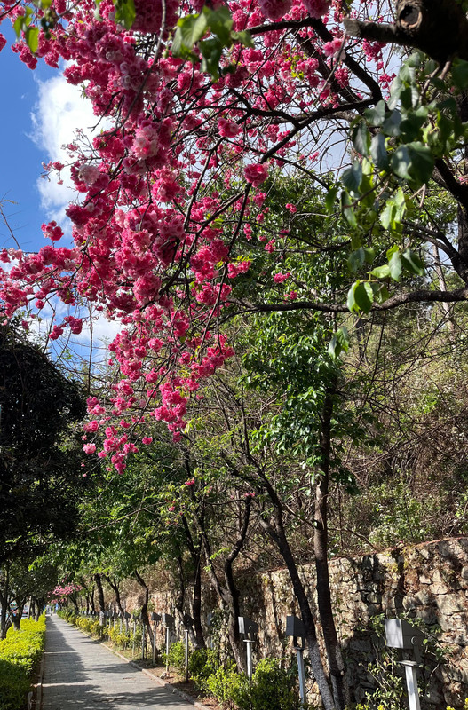 Trip Photo 25