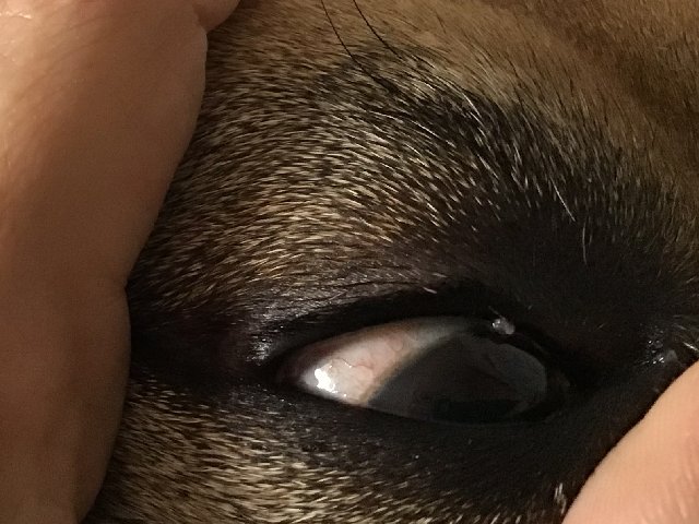 A304FB6C-9B3D-45EA-ABA6-260243C48E37