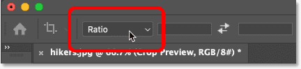 crop-tool-aspect-ratio-option