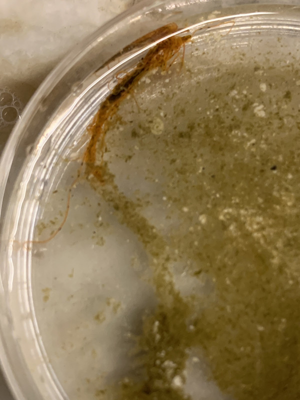 28B69E0B-C78F-4573-B2D4-DEBDFD0107E1