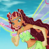 405-ELay-Icon4