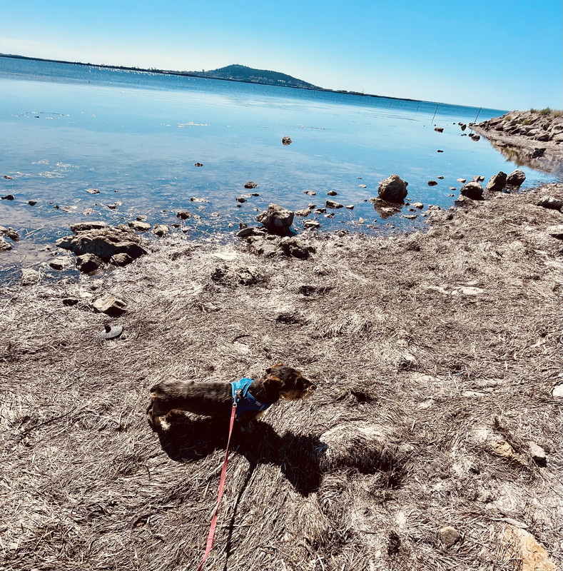 [Image: IMG-1523.jpg]