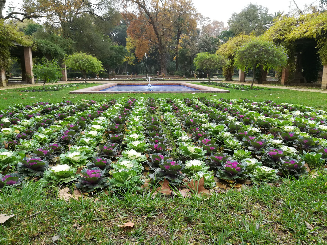 Sevilla, bajo la lluvia de otoño - Blogs de España - Día Cuatro: Plaza España, el parque de María Luisa y conclusiones. (15)