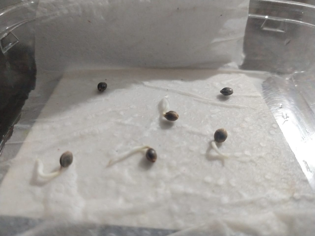 1f9641b7-2ad5-480e-9f5b-30686e444622