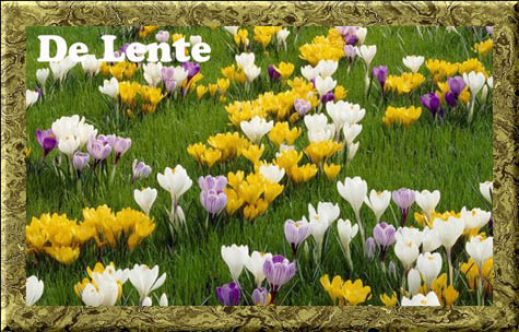 De-Lente.jpg