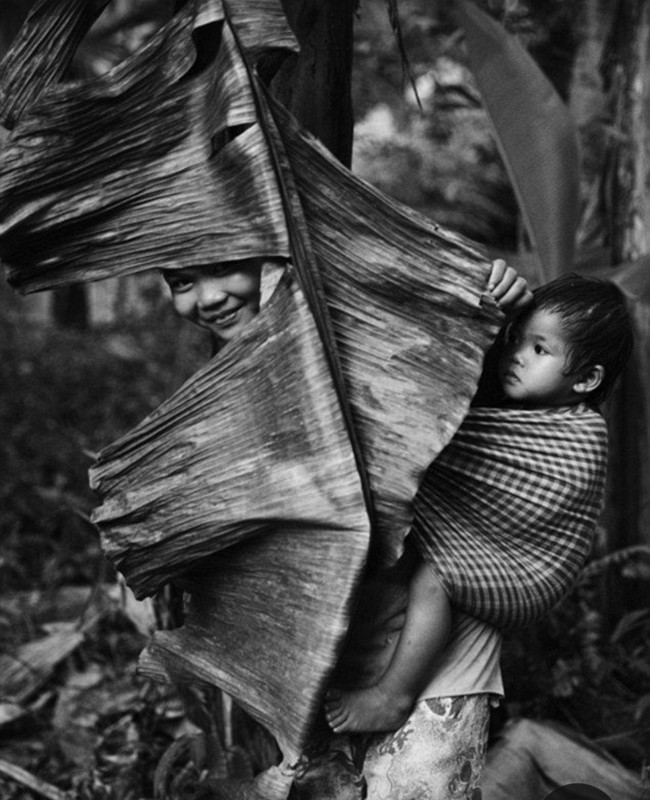 Screenshot_20231201_225021_Pinterest