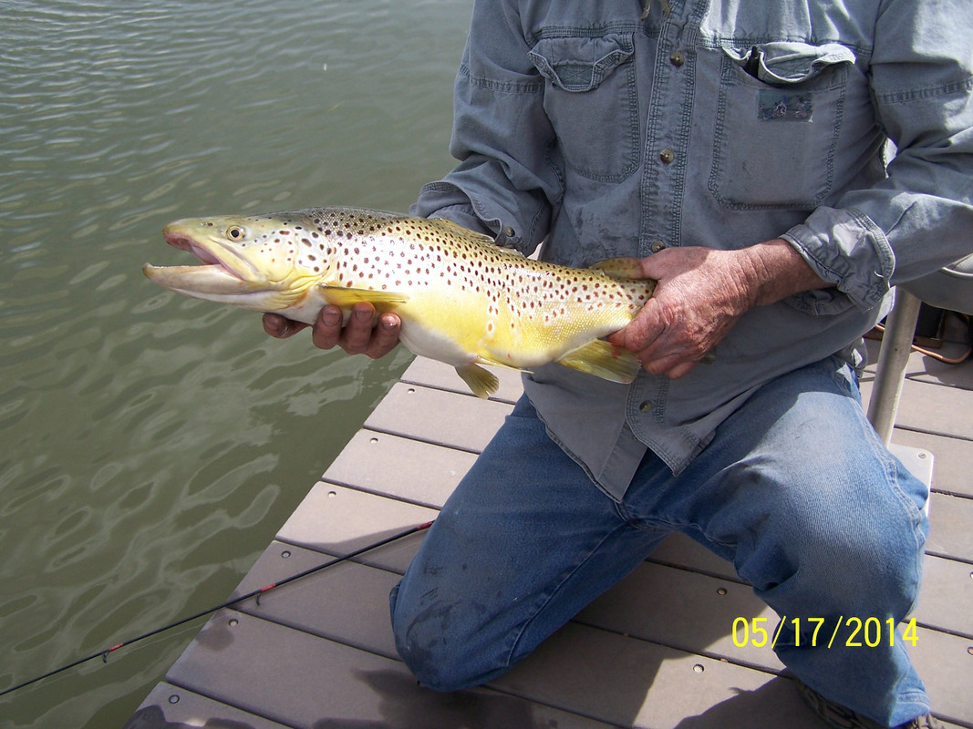 A6FD02EB-821A-4F66-99CF-FFA3C70A2EC8