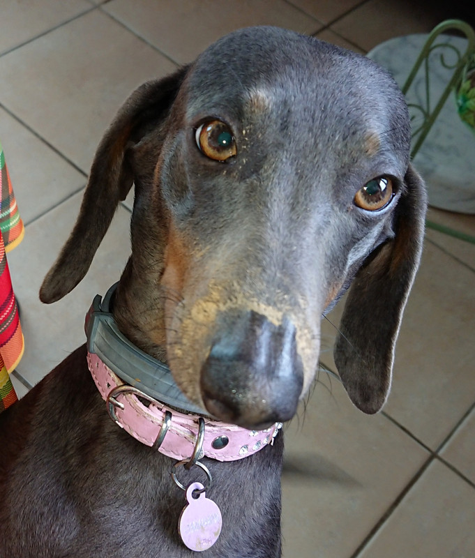 [Image: 20241020-140330.jpg]