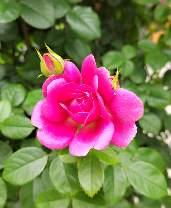 https://i.postimg.cc/hGpQNn8S/78-IMG-20250706-161154.jpg