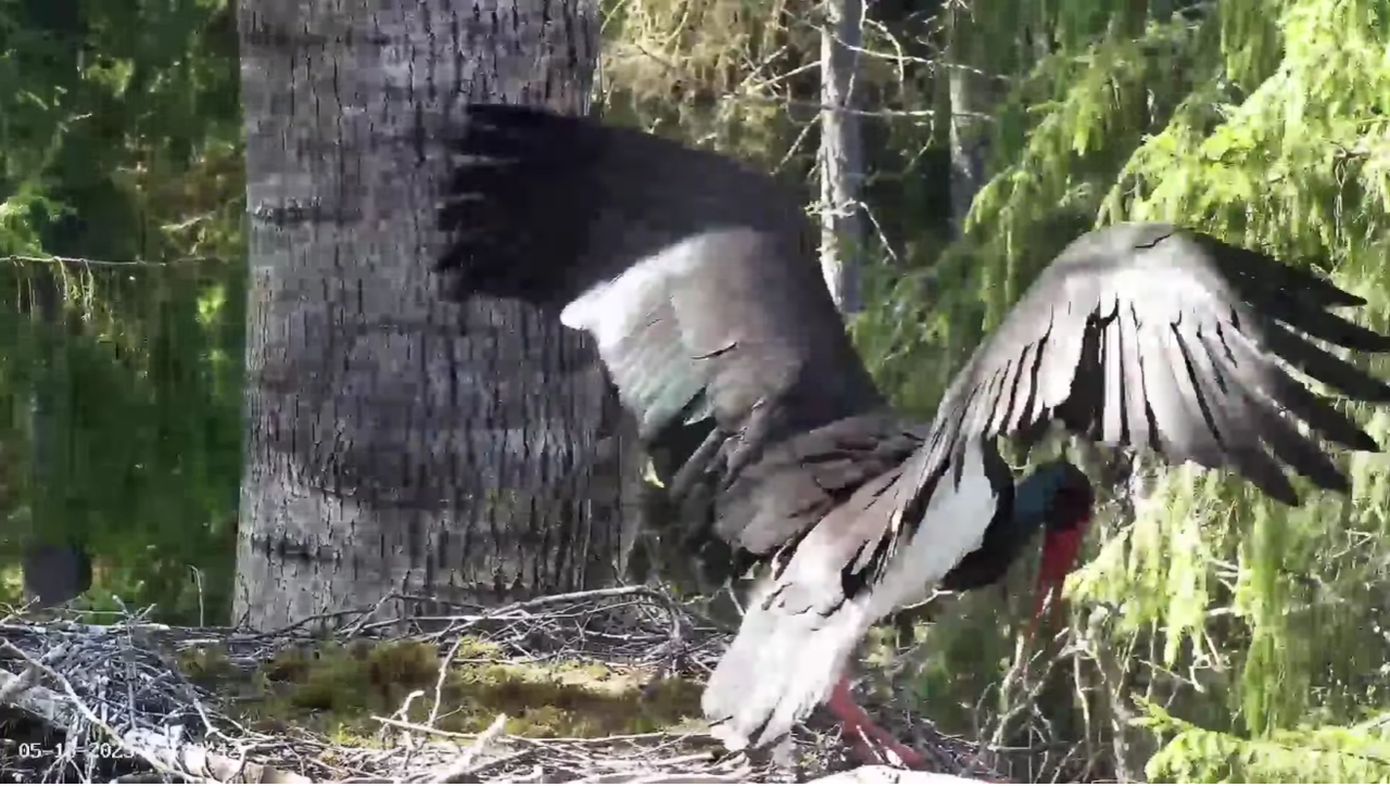 Ekrānuzņēmums 2025-05-13 140824