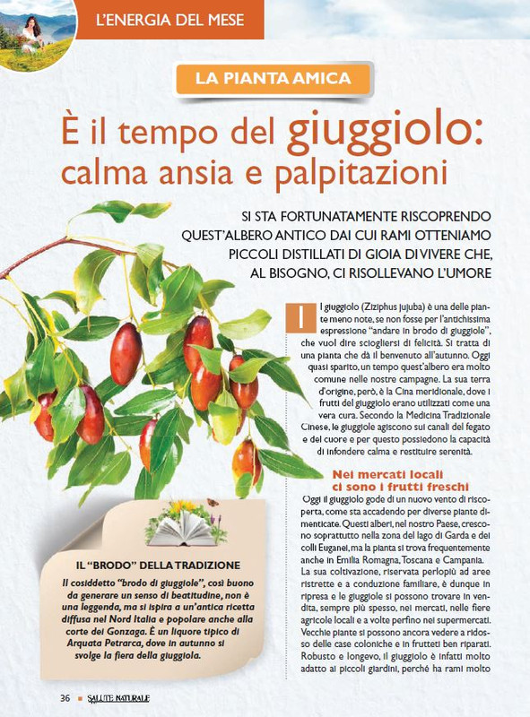 Sal Nat Set 2021 (7)