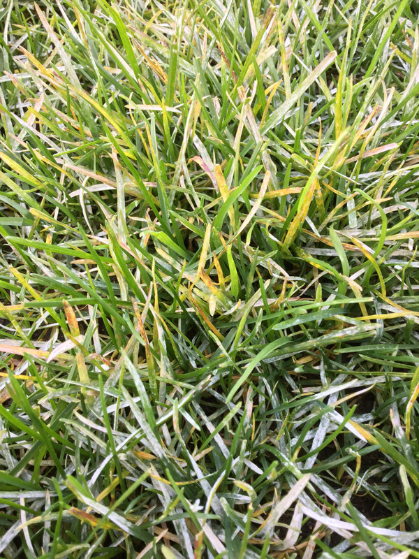 1817EF31-A46A-470B-8703-3F6F01B87617