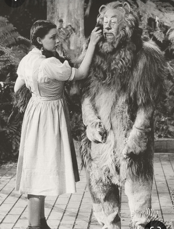 Screenshot_20240215_232209_Pinterest