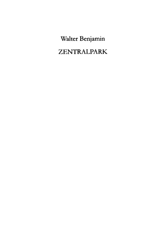 Benamin-Valter-Centralnyj-park-2015-page-0002